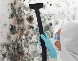  Healdsburg, CA Mold Removal Pros